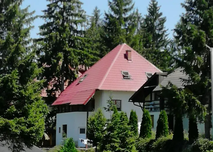 Druga Prica